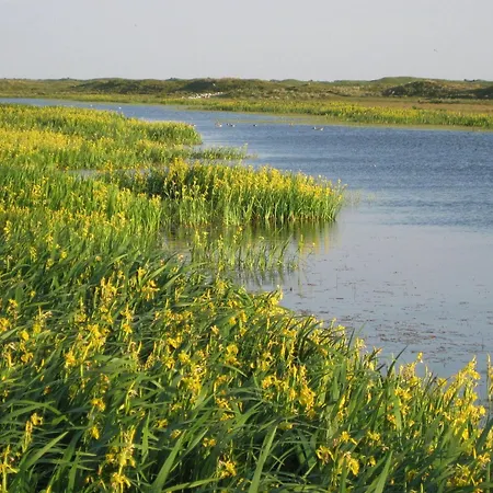 In Texel With Luxurious Comfort