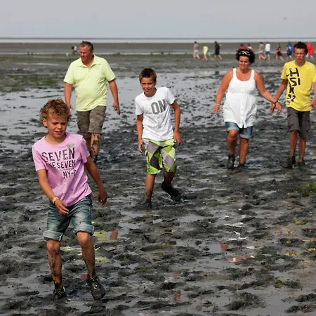 In Texel With Luxurious Comfort De Cocksdorp (Texel)